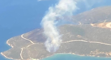 İzmir'in Urla ilçesinde yangın!
