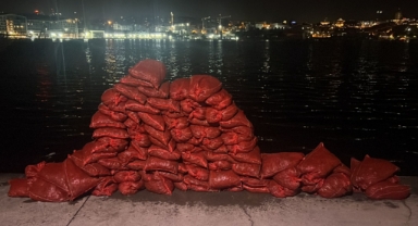 Kaçak avlanan 2 ton midye ele geçirildi