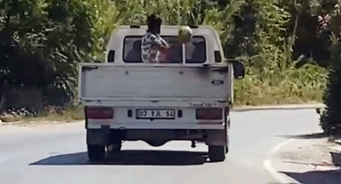 Karpuzları yola fırlattı