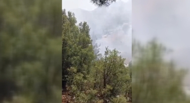 Kemer'deki yangın kontrol altında
