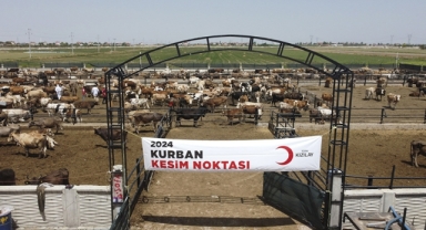 Kızılay yurt içinde ve 19 ülkede kurban kesiyor