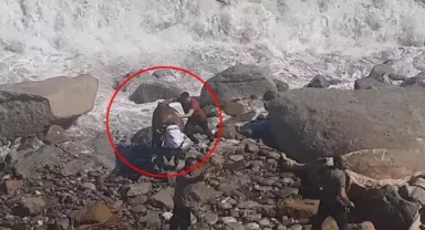 Kurbanlık boğa denize kaçtı