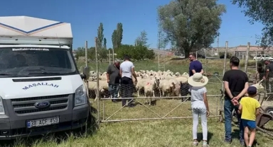 Kurbanlıkların satışından kazandığı 535 bin TL çalındı