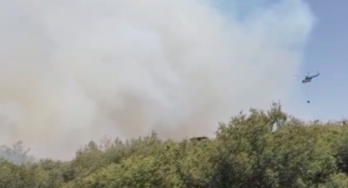 Manisa'da orman yangını çıktı