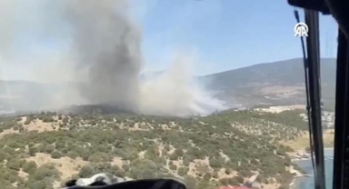 Milas'ta orman yangını
