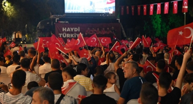 Milli coşku