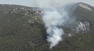 Muğla'da orman yangını çıktı