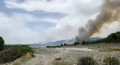Muğla'da orman yangını çıktı
