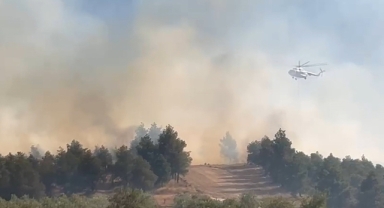 Pamukkale'de orman yangını!