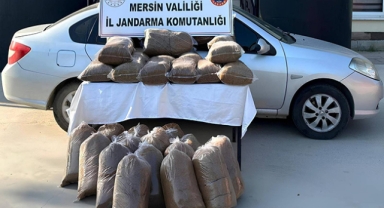 310 kilogram kaçak tütün ele geçirildi