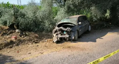 Ağaca çarpan otomobilde hayatını kaybetti