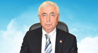 'Bambus artık şehrin vicdanıdır’