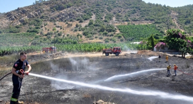 Çalılıkta yangın çıktı