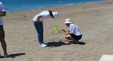 Caretta caretta seferberliği