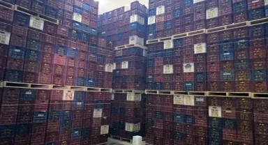 Denetimlerde 280 ton limon yakalandı