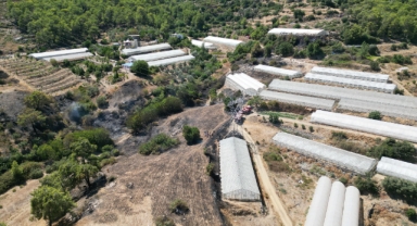 Gazipaşa'da çıkan orman yangını söndürüldü