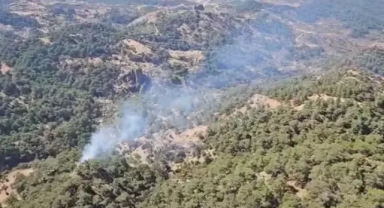 Havadan ve karadan müdahale edildi...Saatler sonra kontrol altına alındı