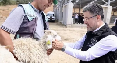 Hayvancılıkta yeni destekleme modeli
