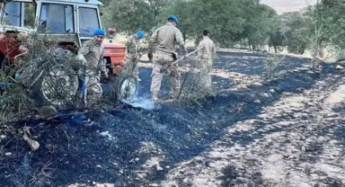 İki ayrı yerde orman yangını: 11 ev tahliye edildi