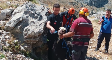 Kayalıklarda mahsur kaldı; Ekiplerce kurtarıldı