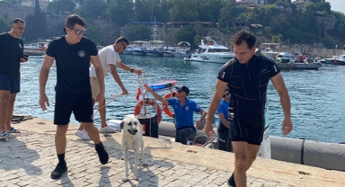 Köpeği deniz polisi kurtardı