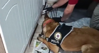 Kuyu-10 operasyonu; 11 şüpheli yakalandı