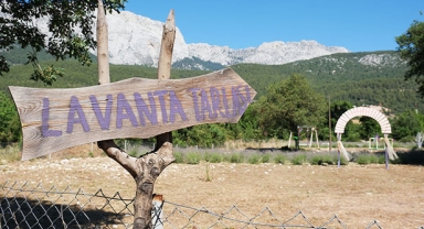 Lavanta turizmi!