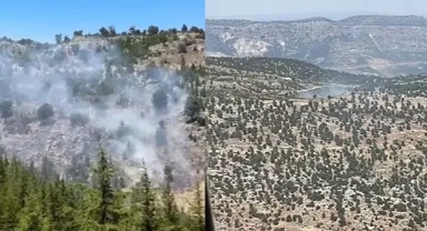 Mersin'de orman yangını çıktı