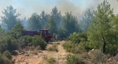 Muğla'da orman yangını