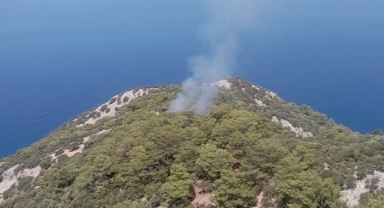 Muğla'da orman yangını