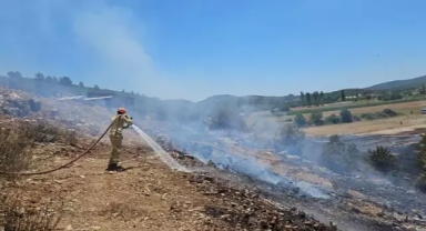 Muğla'da orman yangınına müdahale ediliyor