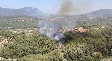 Orman yangınına müdahale ediliyor