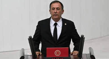 Orman yangınını TBMM’ye taşıdı
