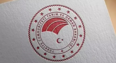 Tarım ve Orman Bakanlığı: Destekleme ödemesi çiftçilerin hesaplarına aktarıldı