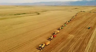 TİM açıkladı: Kişi başına 250 kilo buğday üretiliyor