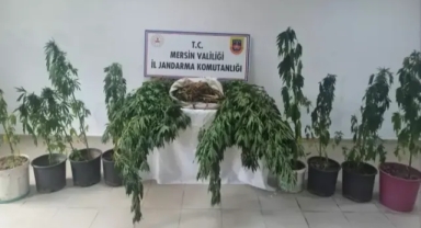 Uyuşturucu operasyonu: 6 gözaltı