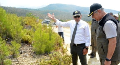 Vali Şahin Manavgat'ta yanan alanı inceledi