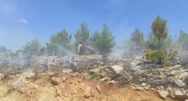 4 ayrı noktada çıkan yangınlar söndürüldü