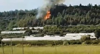 Ormanı yaktı; alevler 2 saatte söndürüldü!