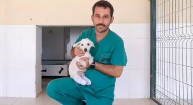 Arka bacakları kesilmişti... Yaşama tutundu