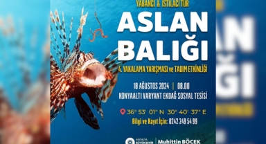 Aslan Balığı Yarışması