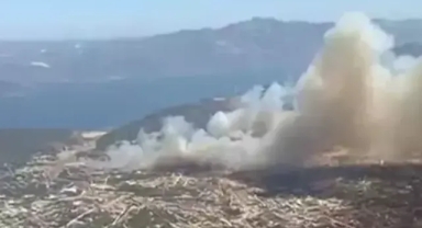 Aydın'da yangını çıkaran 3 kişi tutuklandı