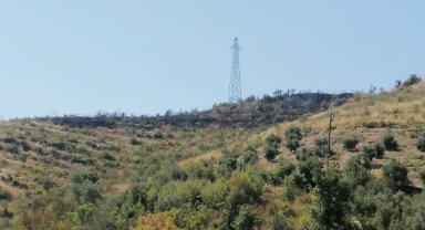 Çalılık yangını