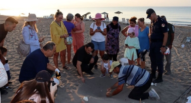 Caretta yuvalarına kafesli koruma