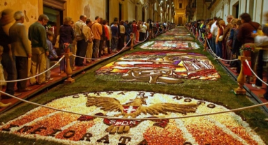 Çiçeğin Rio Karnavalı