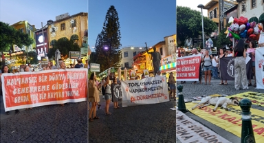 Hayvanseverler yine sokağa çıktı