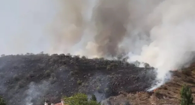 Kayseri'de yangın