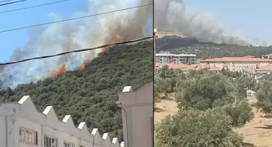 Makilik alan yangını