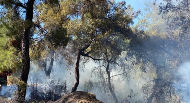 Manavgat'ta çıkan yangın söndürüldü