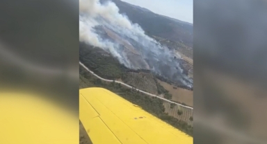 Manisa'da orman yangınına müdahale ediliyor